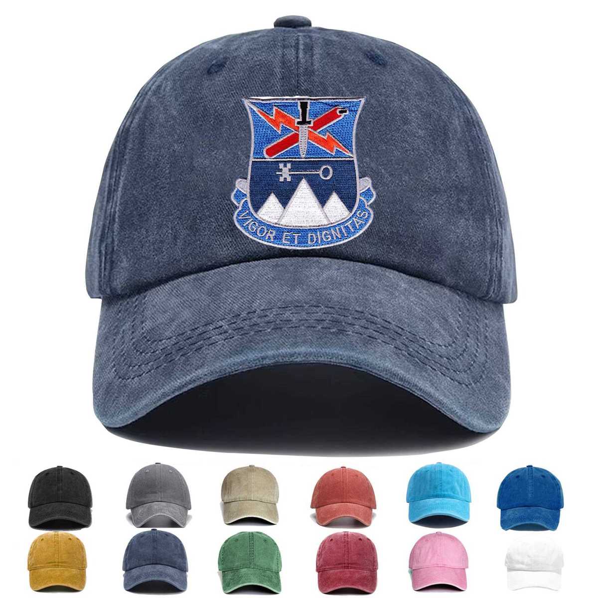 Special Troops Battalion 2nd Brigade 10th Mountain Division Embroidered Hat - Custom Hat